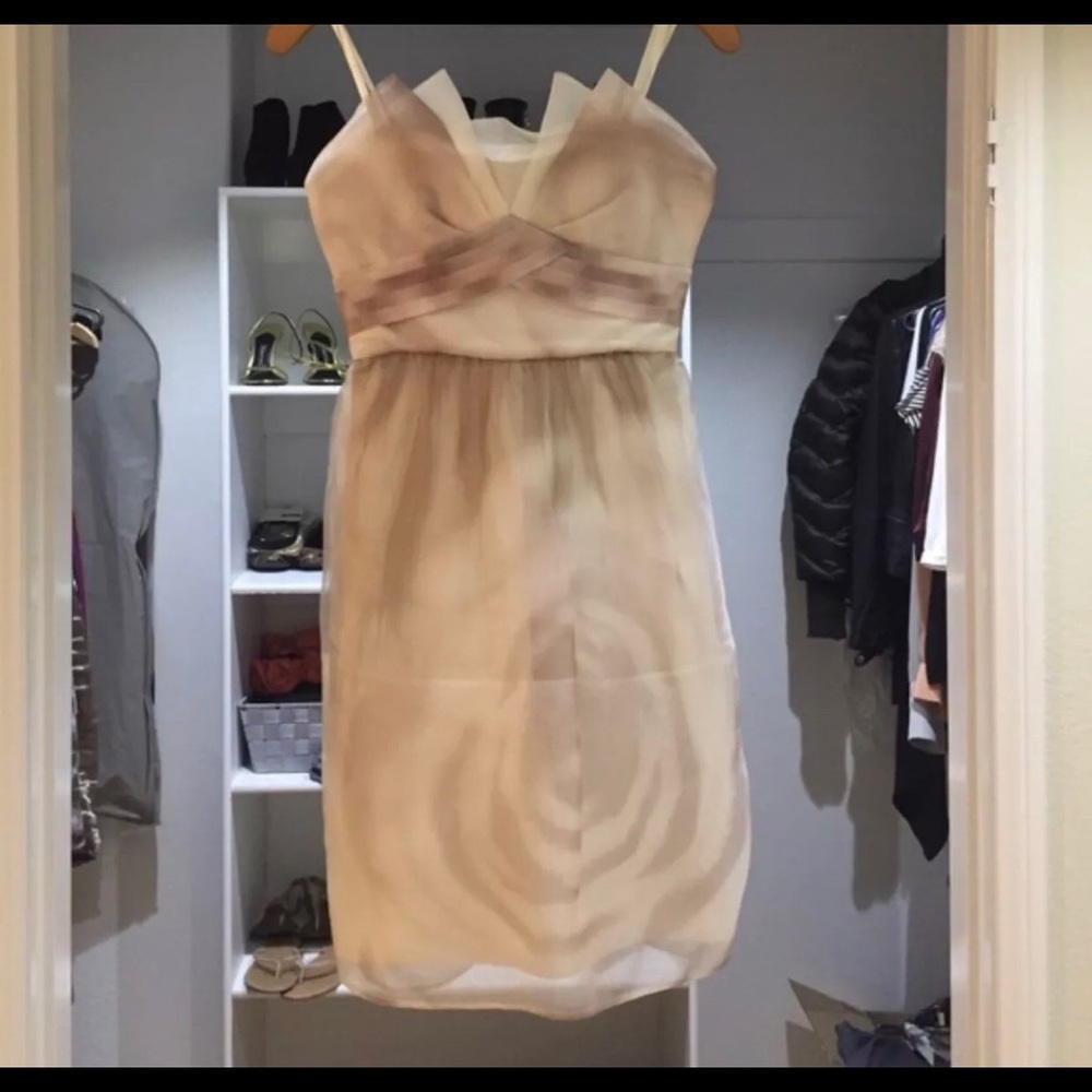 BCBG organza dress